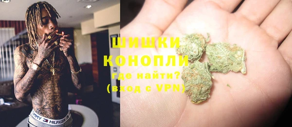 бошки Алексин
