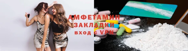прущие грибы Алзамай