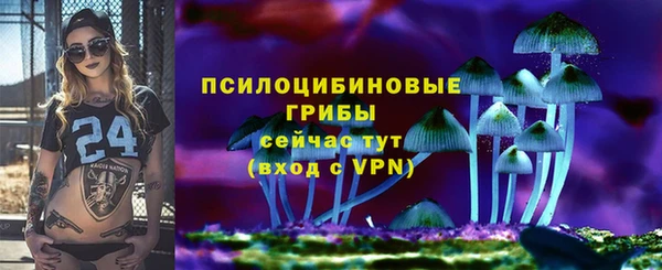 амфетамин Алексеевка