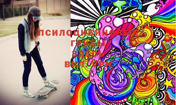 бошки Алексин