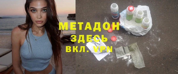 прущие грибы Алзамай