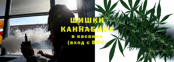 прущие грибы Алзамай