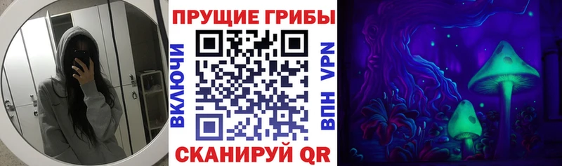 хочу наркоту mega зеркало Галлюциногенные грибы GOLDEN TEACHER Южно-Сухокумск